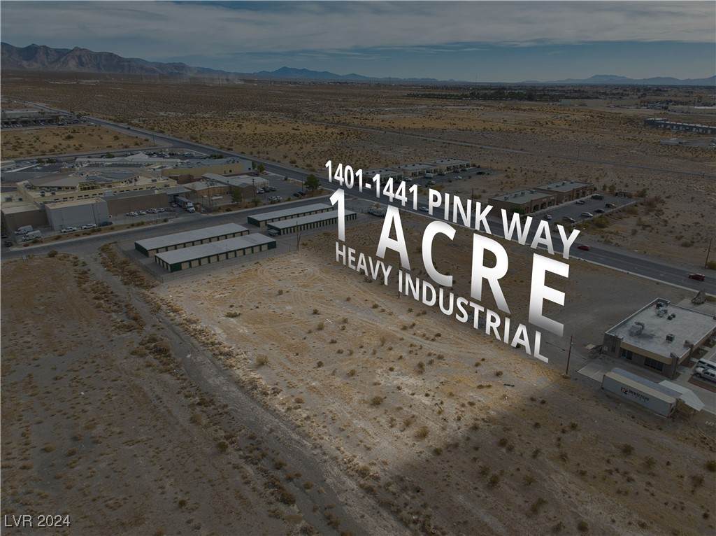 1401 Pink Way - Photo 1