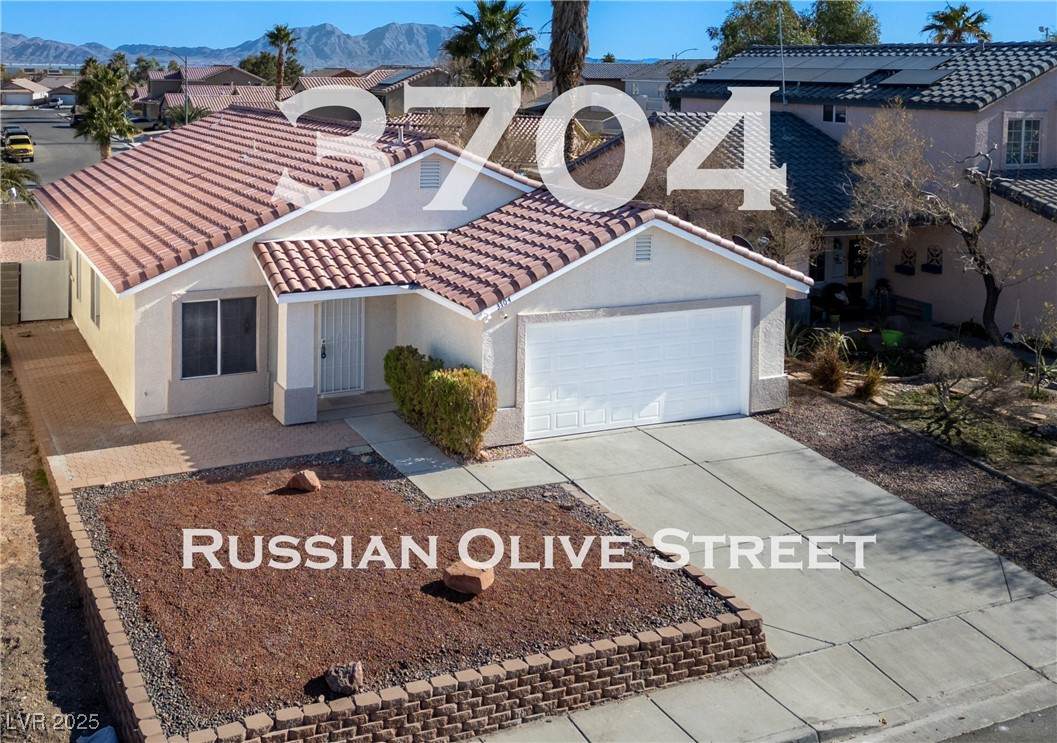 3704 Russian Olive Street - Photo 1