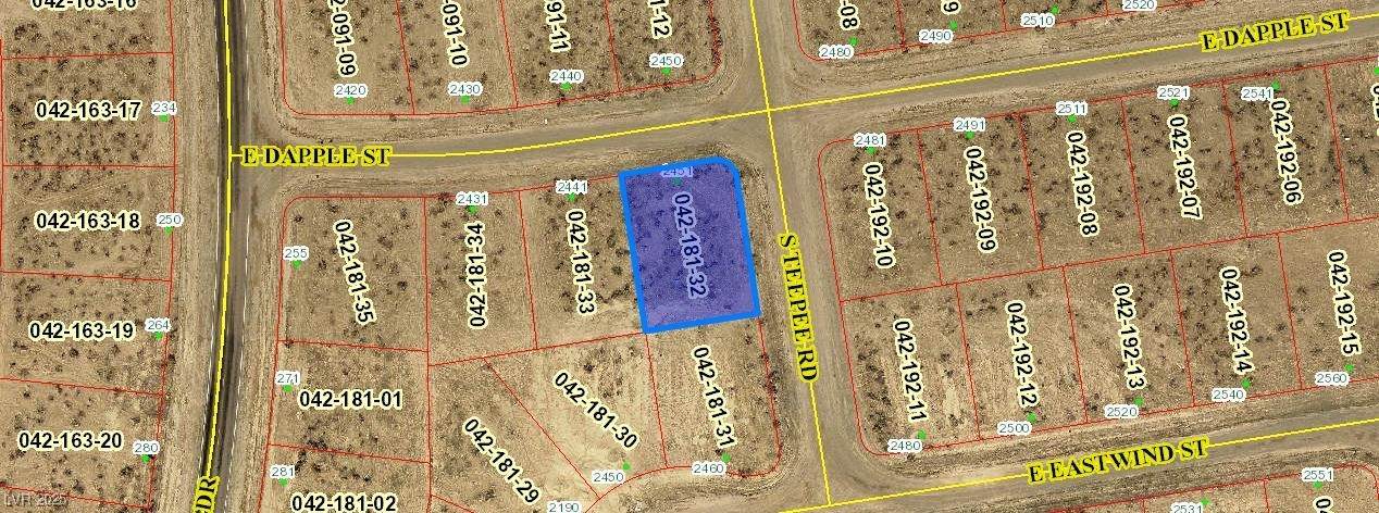 2451 Dapple Street - Photo 1