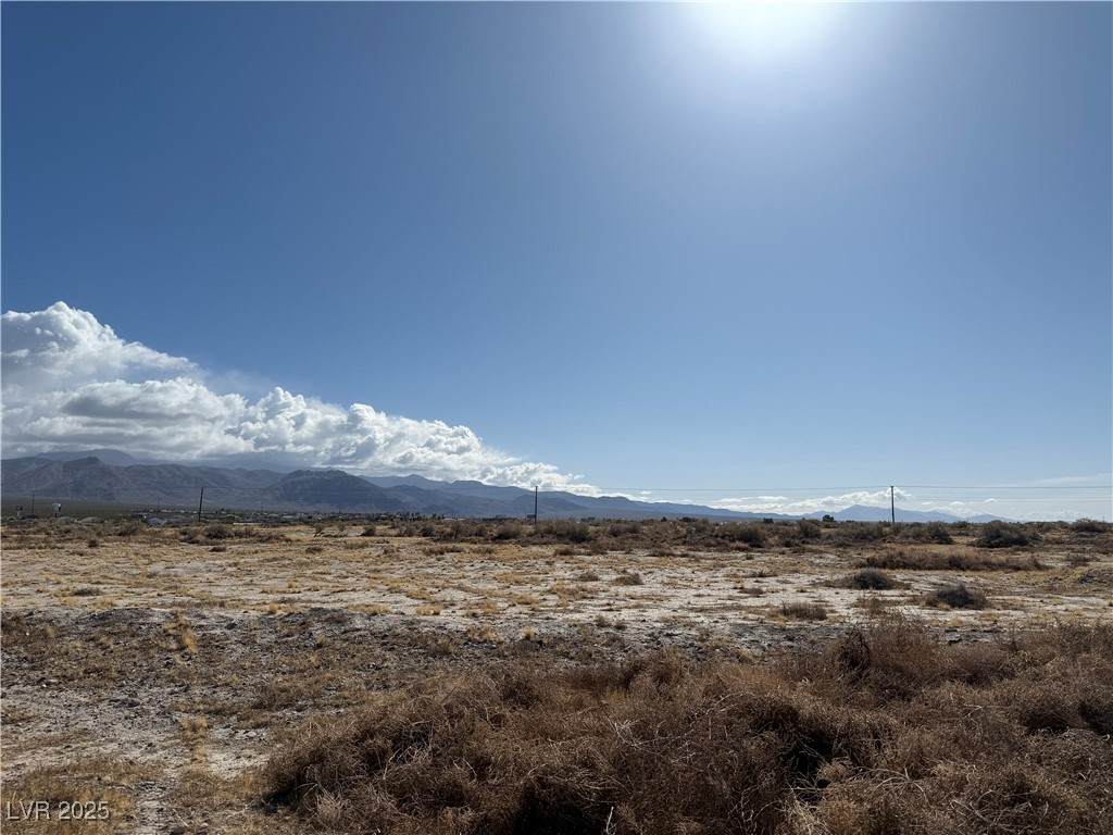2201 Needles Avenue - Photo 1