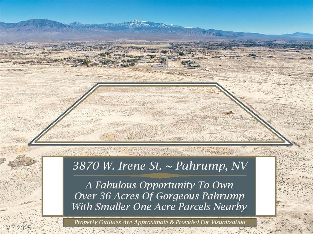 3870 Irene Street - Photo 1