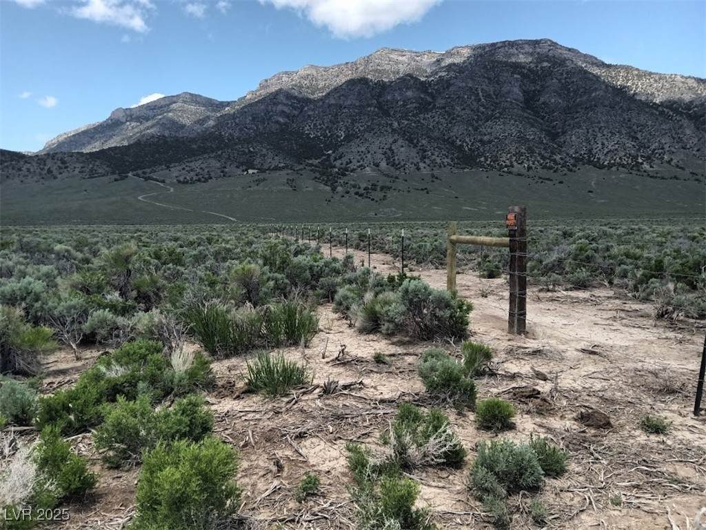 Sr 892 To Newark Valley (Strawberry Road) - Photo 1