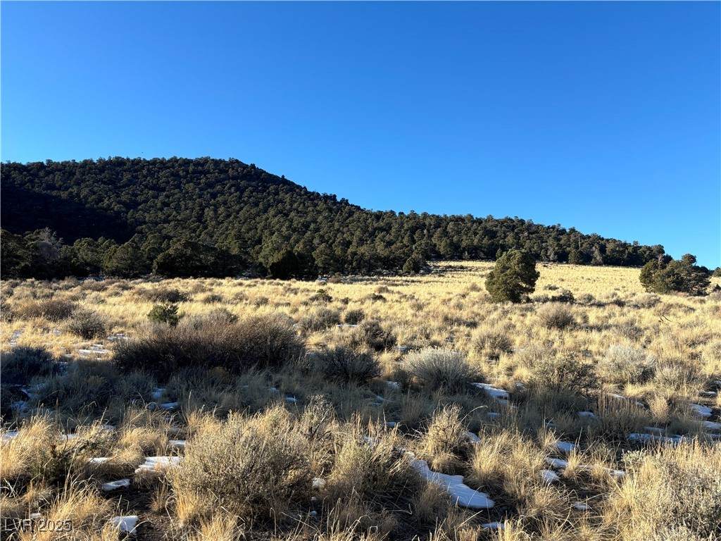 P-12 Butte Valley - Photo 1