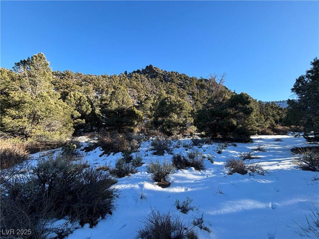  P-19 Butte Valley - Photo 1