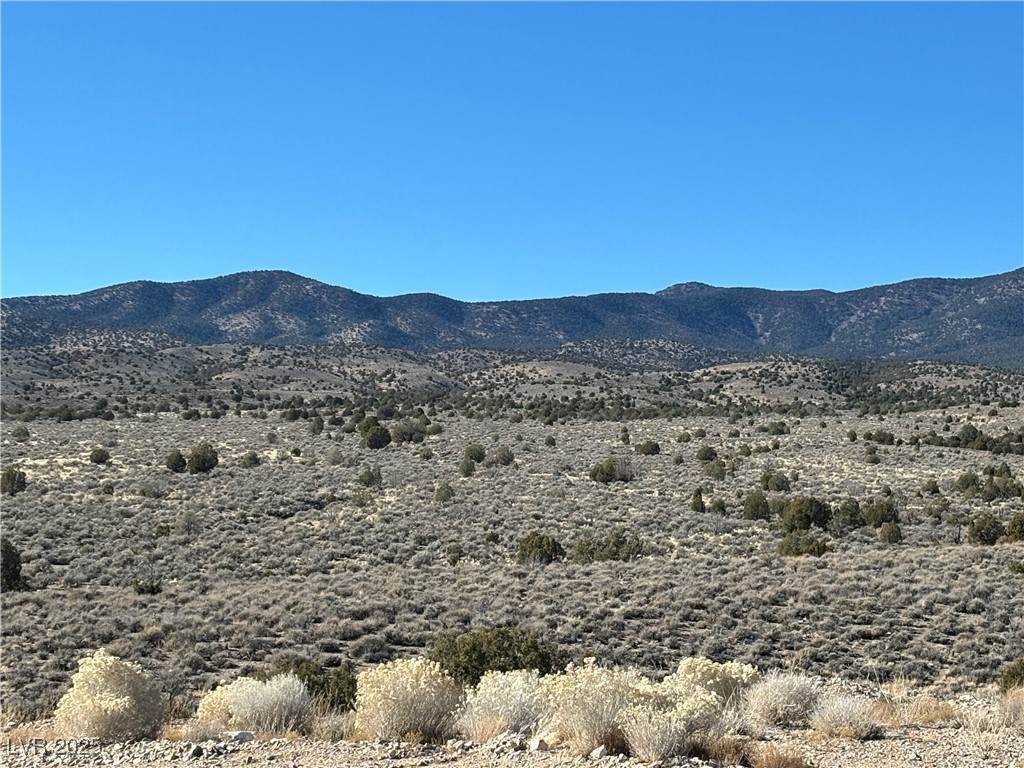  Mabel Trail - Photo 1