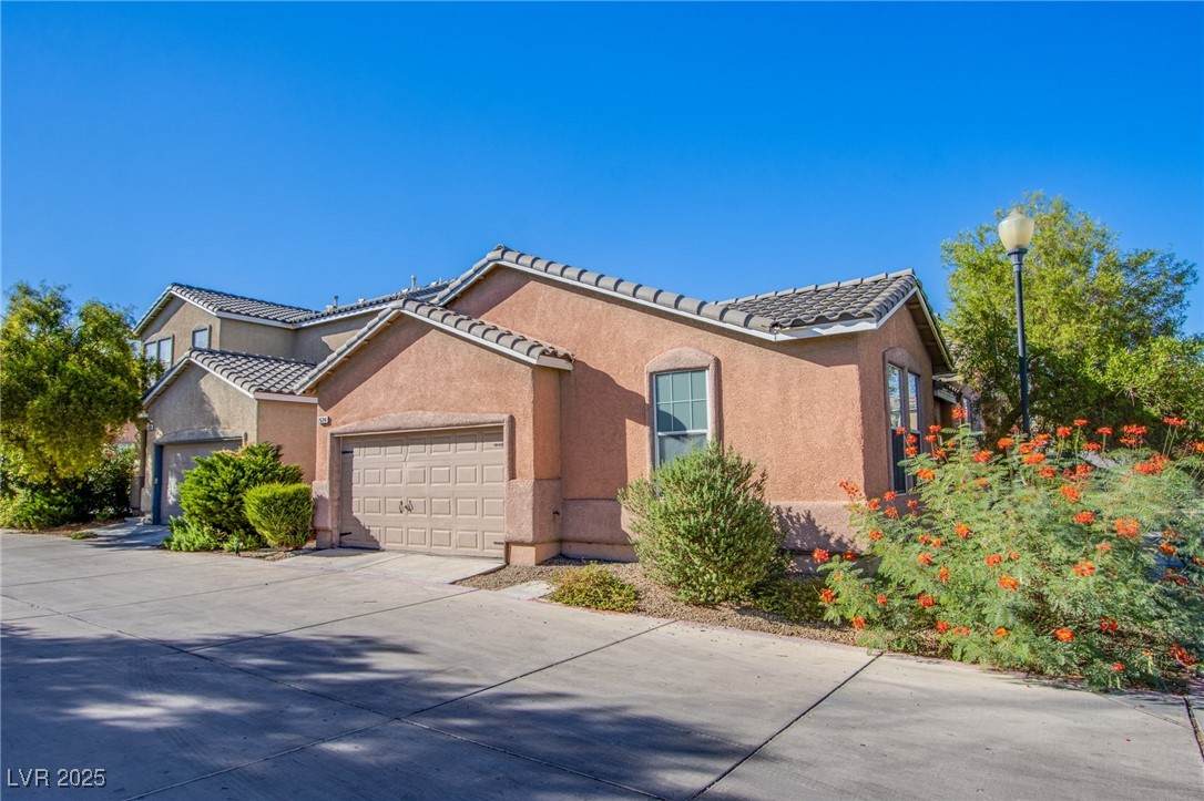 2624 Feather Cactus Court - Photo 1