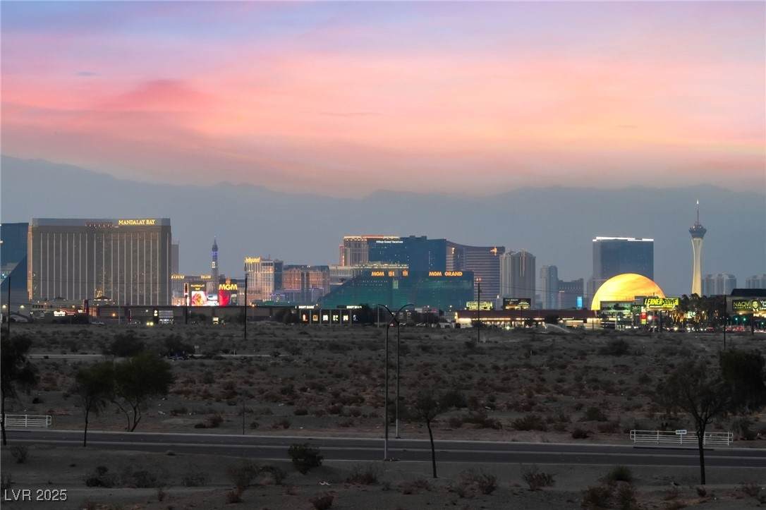 8255 Las Vegas Boulevard - Photo 1