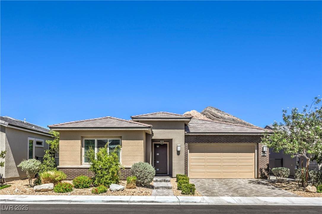 11080 Black Fire Opal Drive - Photo 1