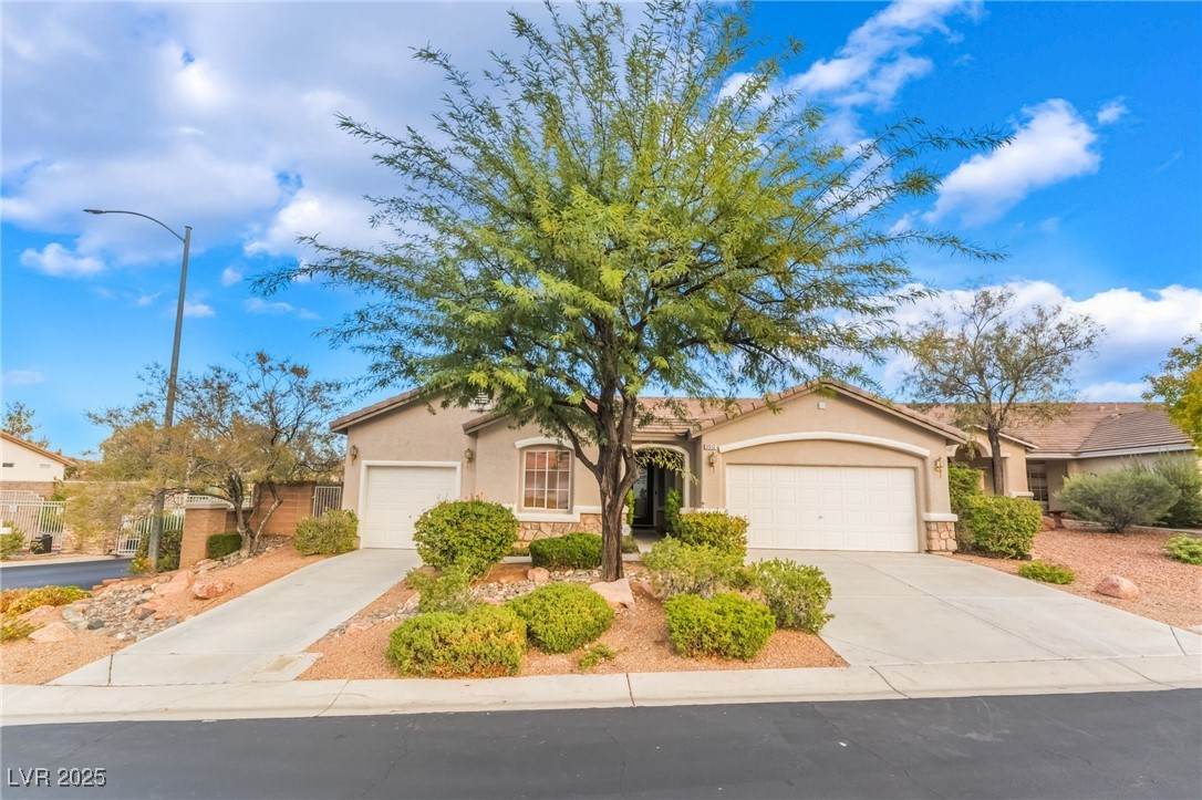 3512 Natural View Street - Photo 1