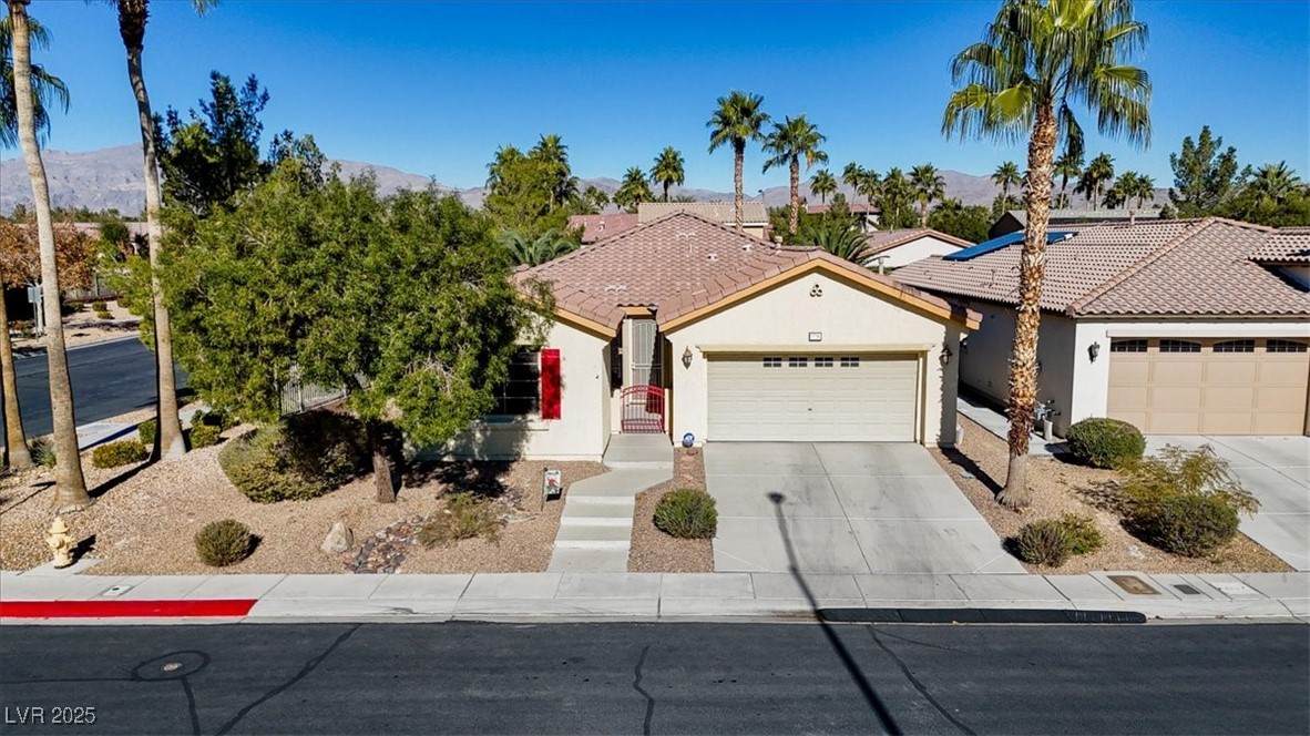 3736 Jasmine Heights Avenue - Photo 1