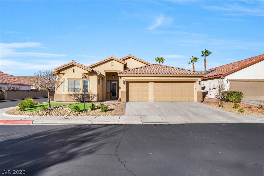 10629 Canon Perdido Street - Photo 1