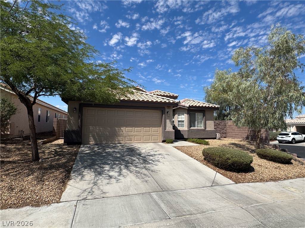 1071 Snow Roof Avenue - Photo 1