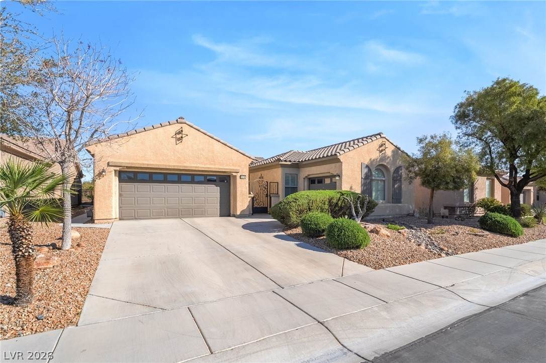 5536 Criollo Drive - Photo 1