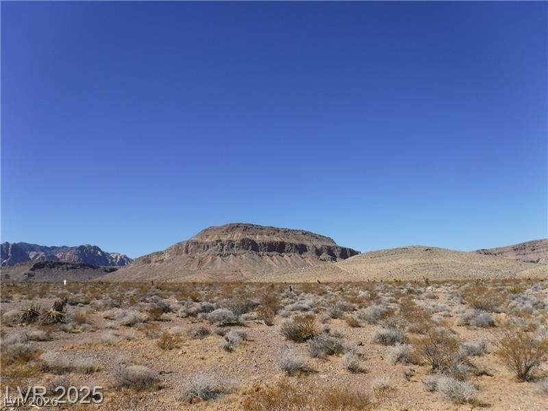  State Hwy 160 Blue Diamond - Photo 1