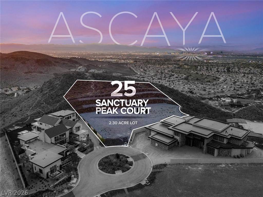 25 Sanctuary Peak Court - Photo 1