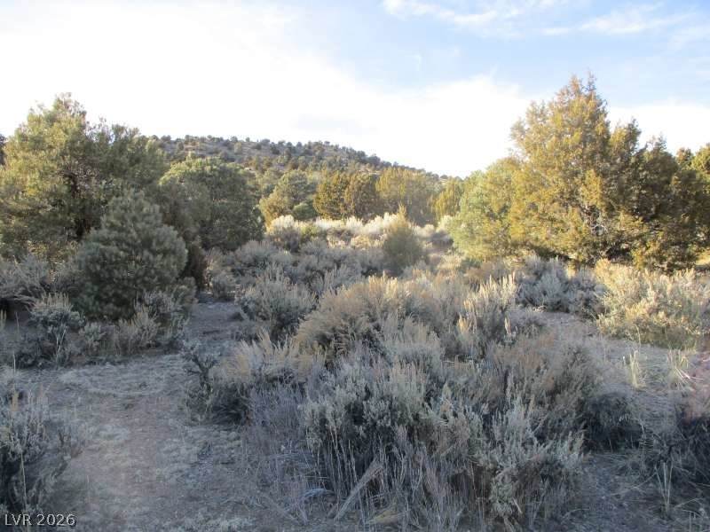  Nv Hwy 322 (30.15 Ac) - Photo 1