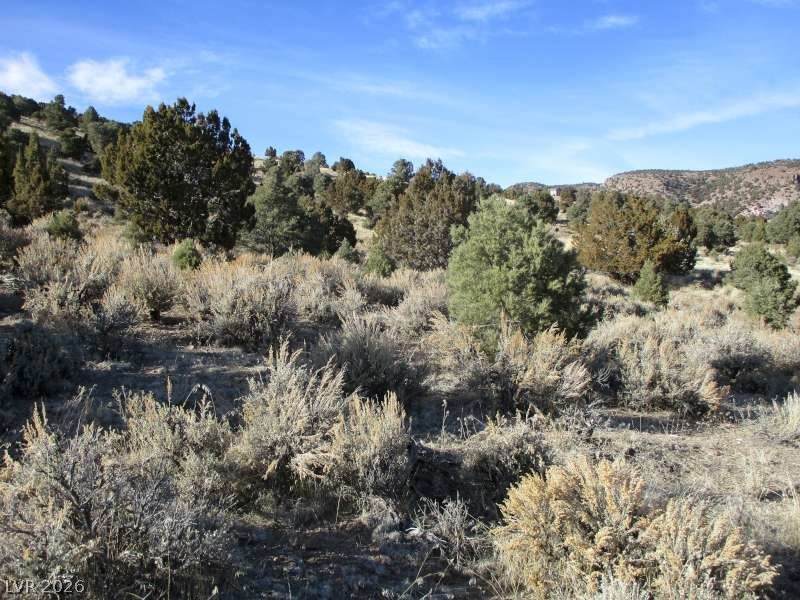  Nv Hwy 322 (10.012 Ac) - Photo 1