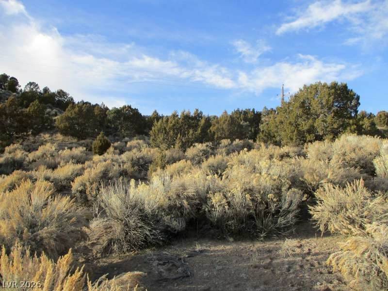  Nv Hwy 322 (9.86 Ac) - Photo 1