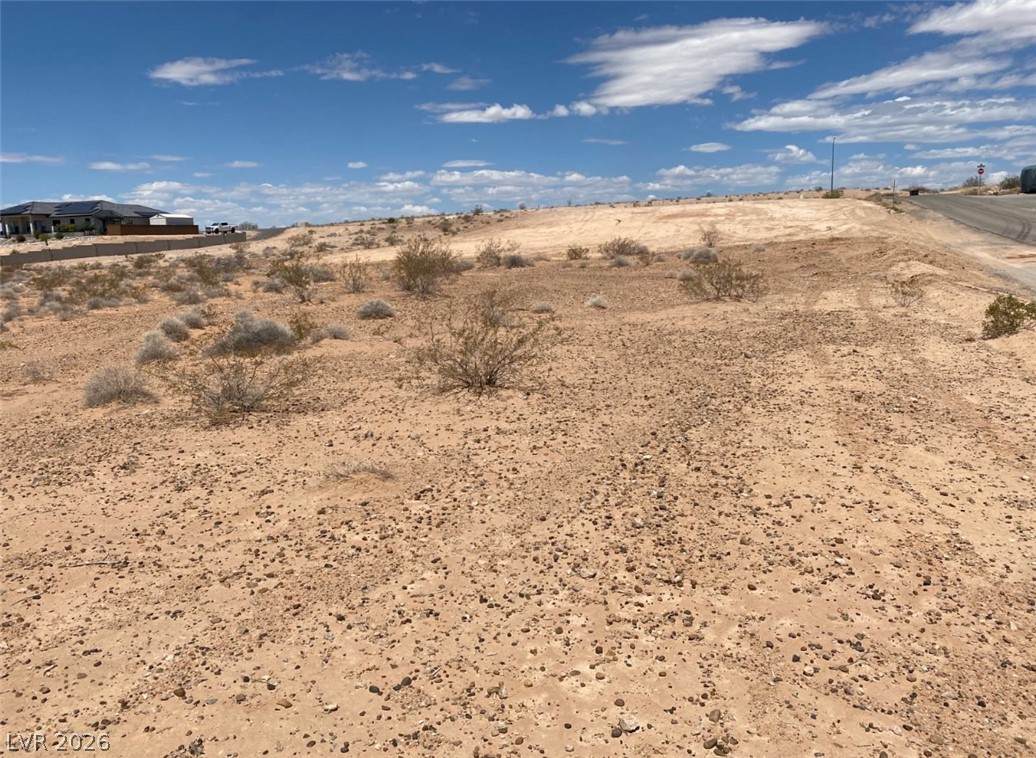 3175 Lou Street - Photo 1