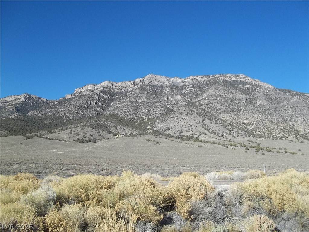  5 Acres in Newark Valley! - Photo 1