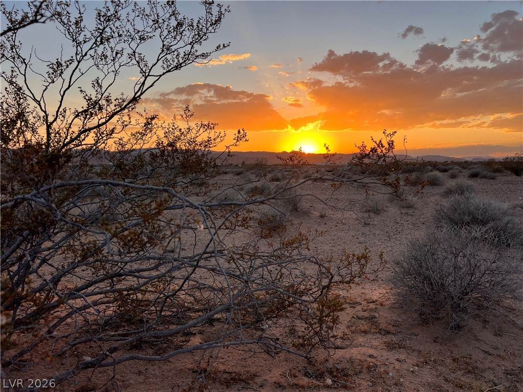 https://bt-photos.global.ssl.fastly.net/vegas/orig_boomver_1_2784015-2.jpg