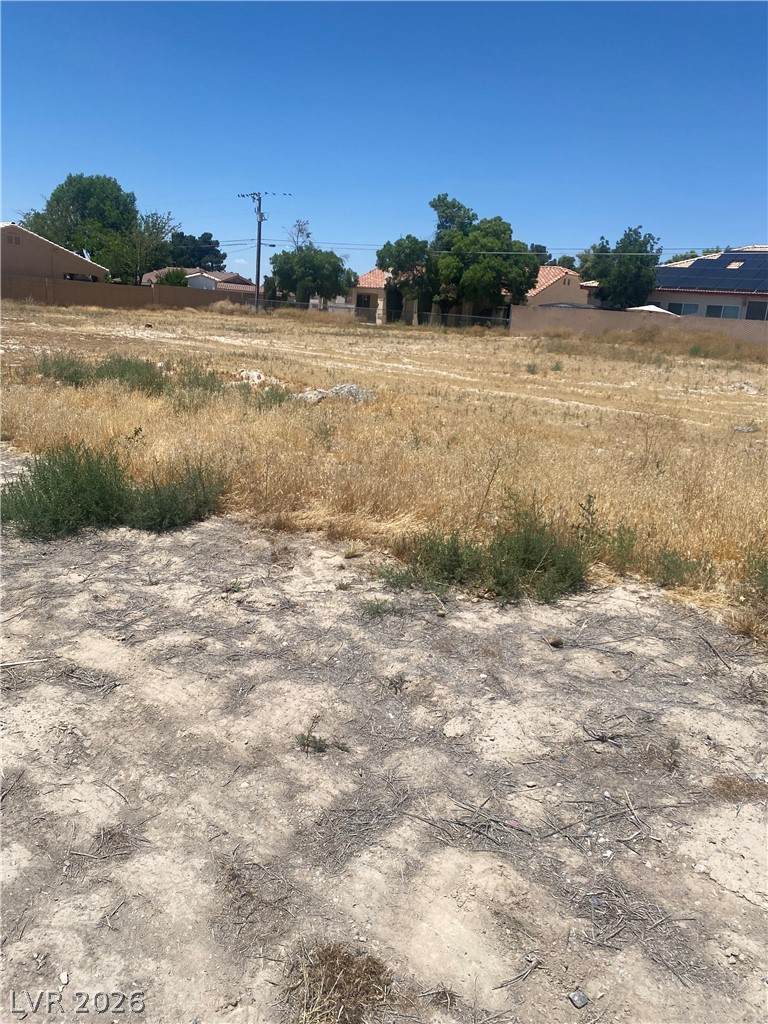 3715 Mount Charleston Drive - Photo 1