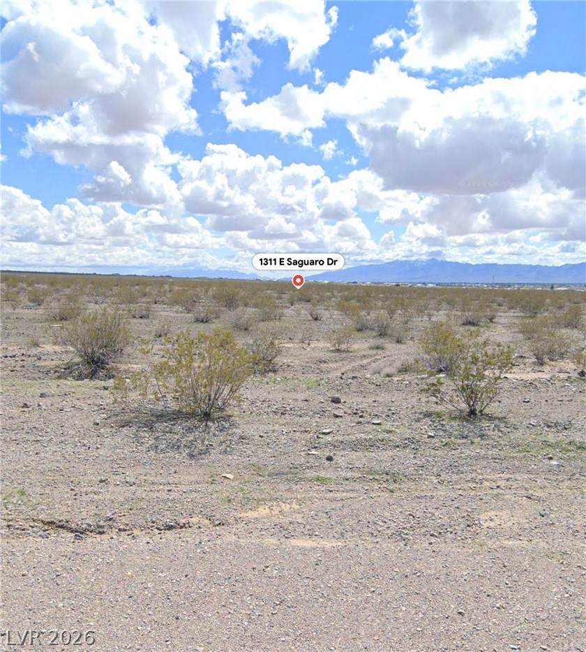 1311 Saguaro Lane - Photo 1