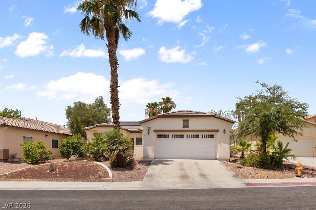 6243 Black Mane Way - Photo 1
