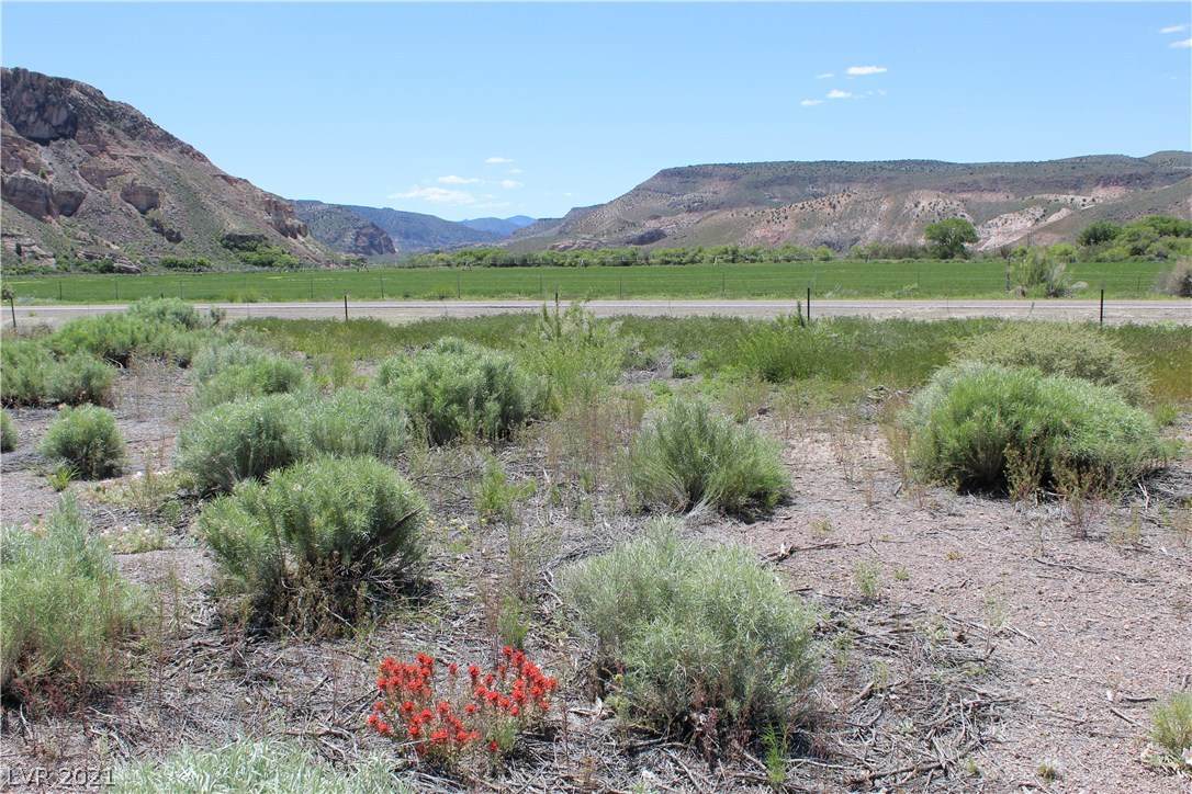  Rainbow Canyon - Clover Street - Photo 1