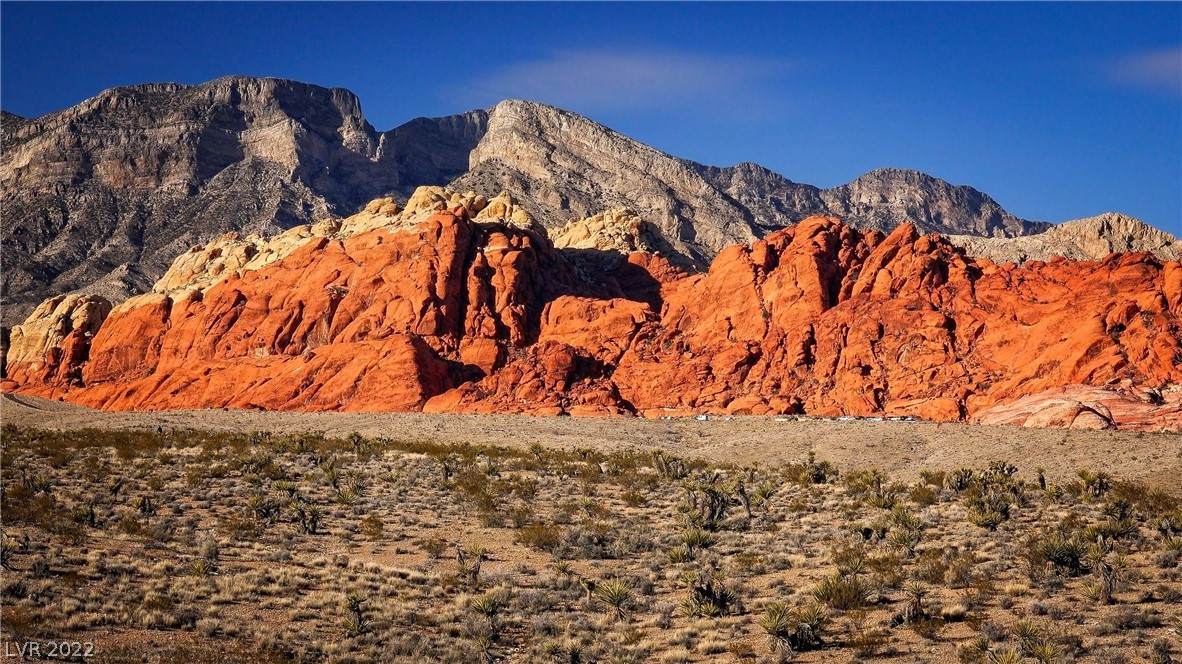 0 Calico Basin - Photo 1