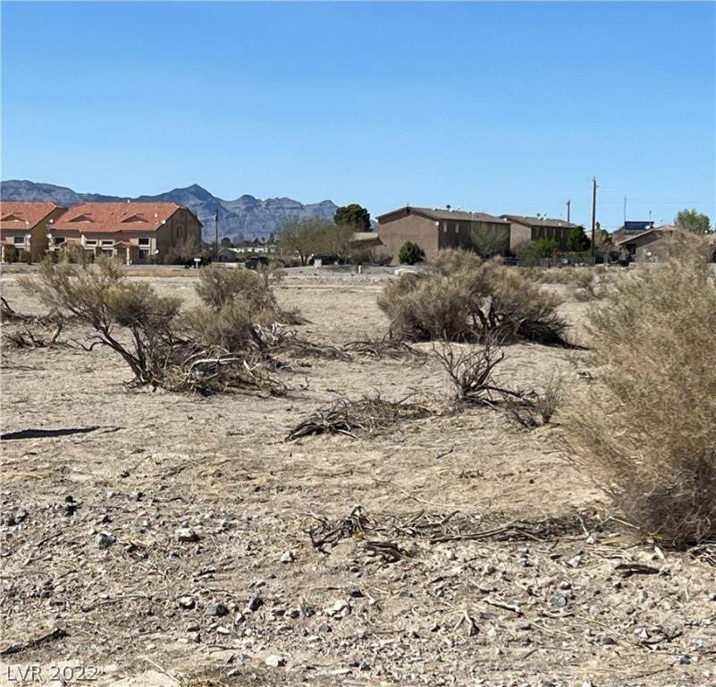 2520 Dapple Street - Photo 1