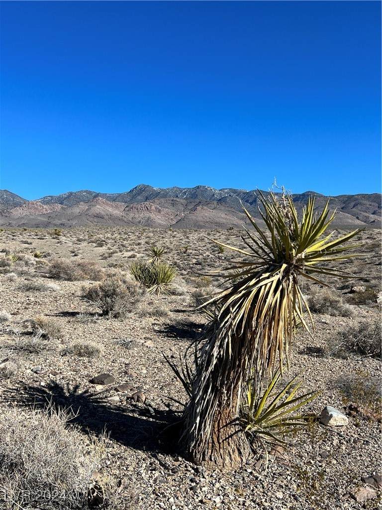 https://bt-photos.global.ssl.fastly.net/vegas/orig_boomver_1_2634453-2.jpg