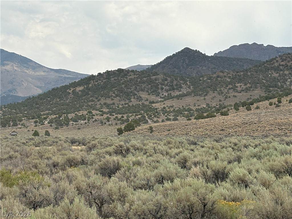  Mattier Creek - Photo 1