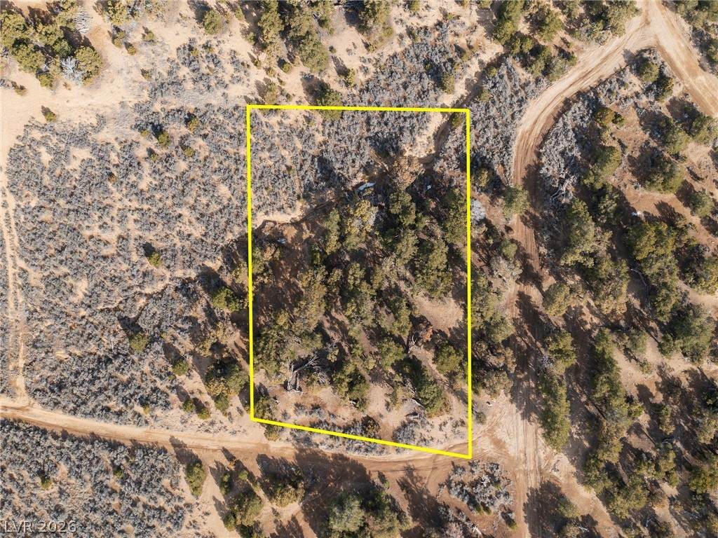  Pinion Pines - Photo 1