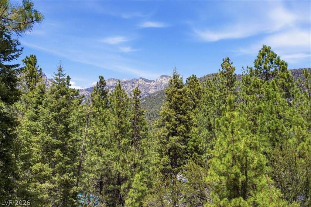 3953 Ski Trail Circle - Photo 1