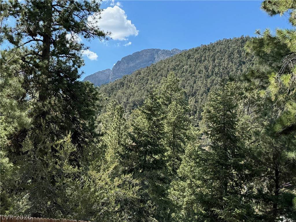4028 Mont Blanc Way - Photo 1
