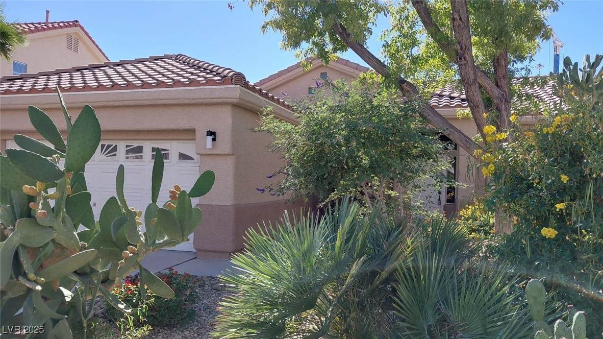 13 Desert Dawn Lane - Photo 1
