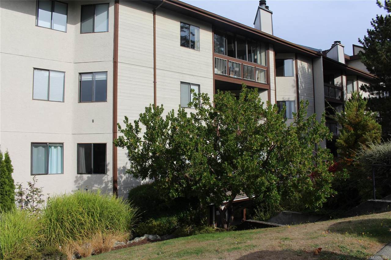 71 Gorge Rd - Photo 1