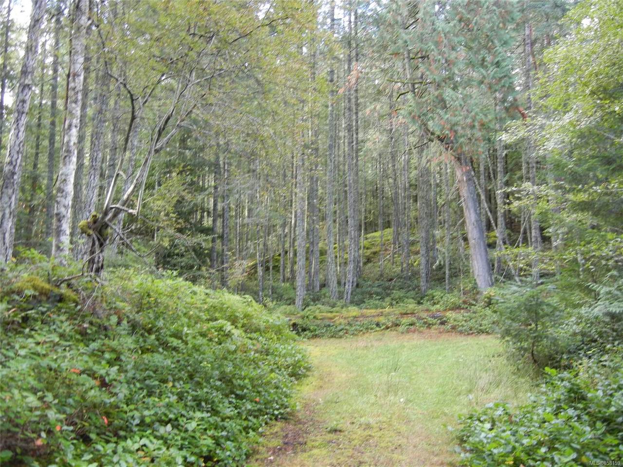 Lot B Dubois Rd - Photo 1