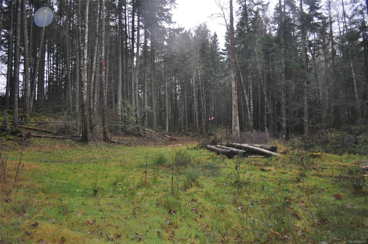 115 Lumley Rd - Photo 1