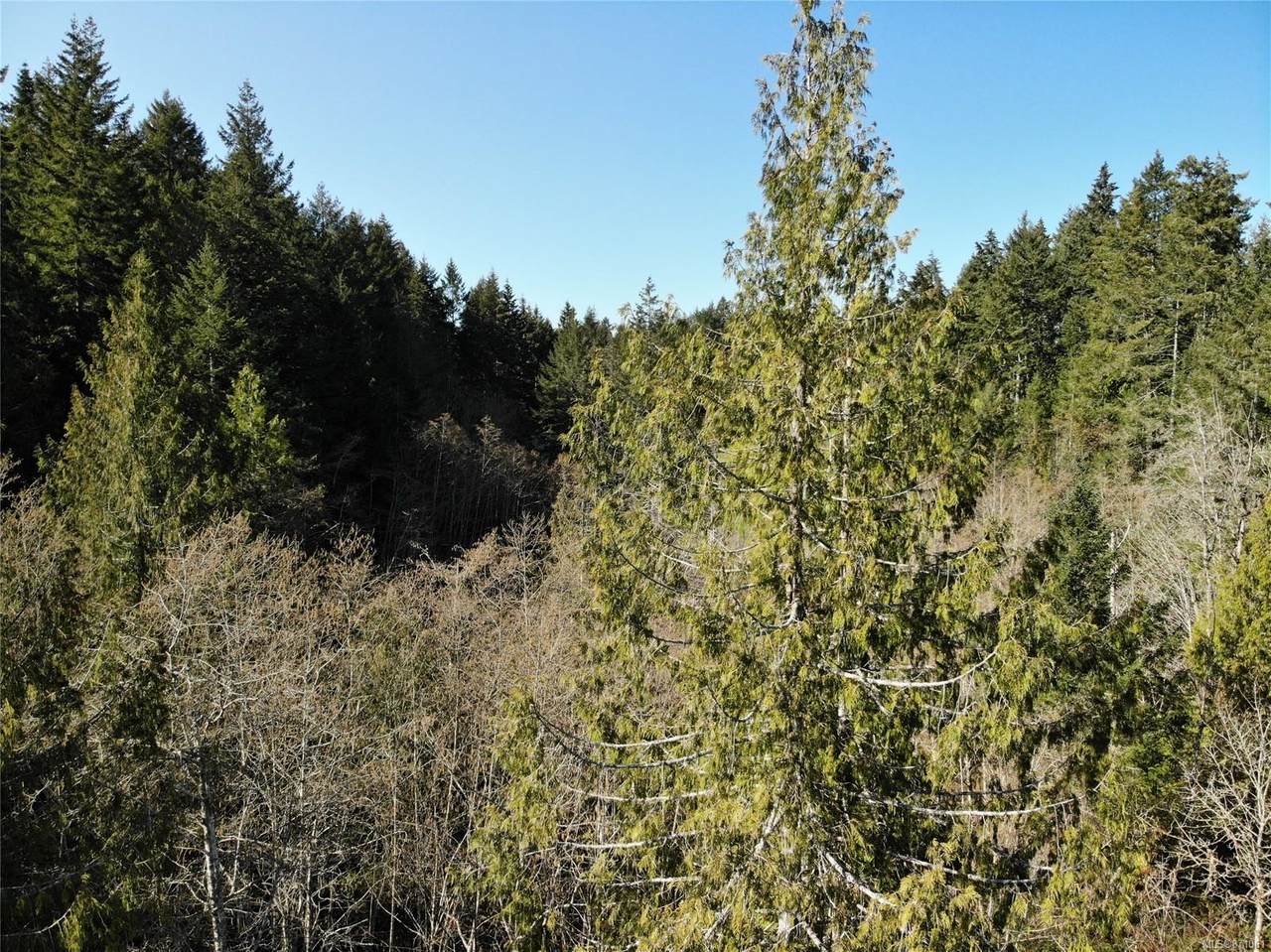 Lot A North End Rd - Photo 1