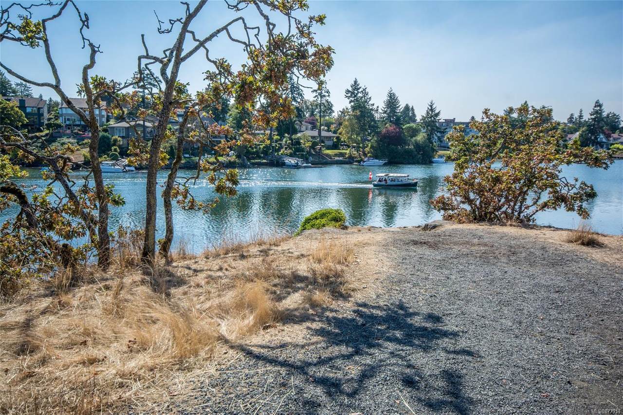 71 Gorge Rd - Photo 1