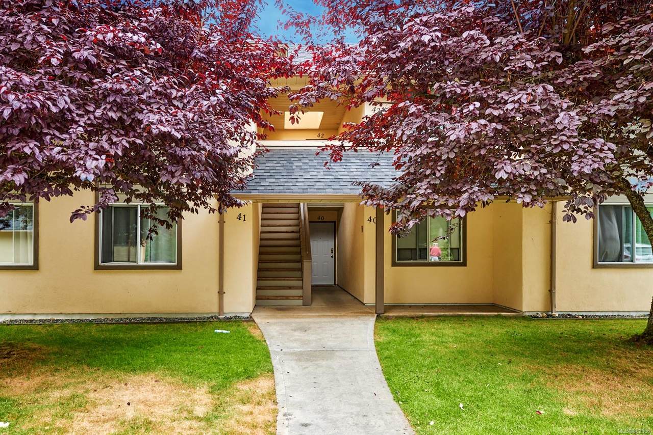 1165 Resort Dr - Photo 1