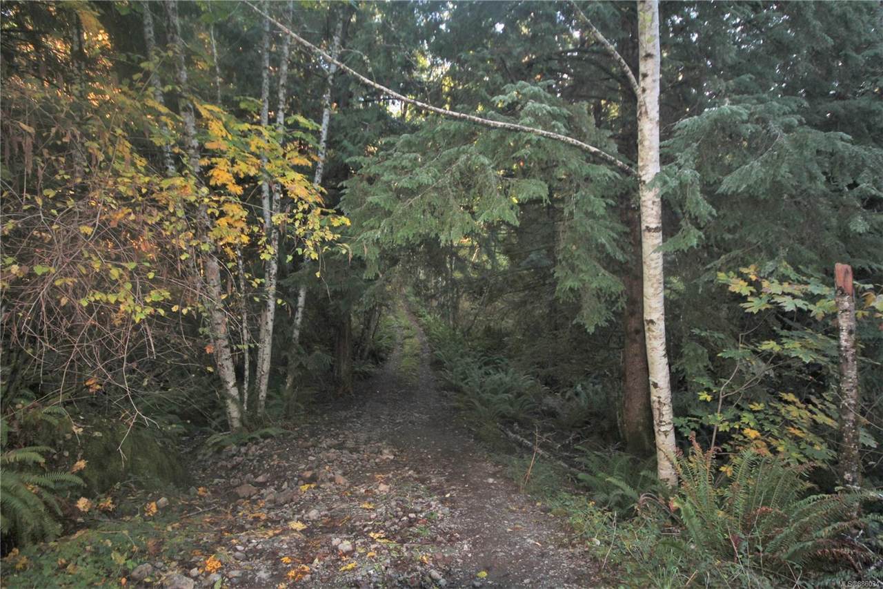 Lot 2 Glinz Lake Rd - Photo 1