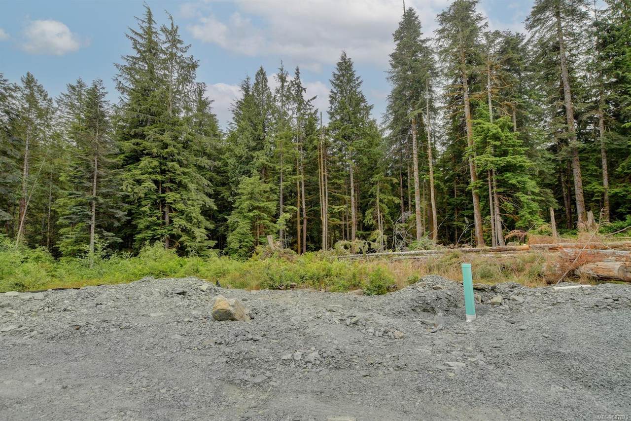 Lot 12 Beachview Dr - Photo 1