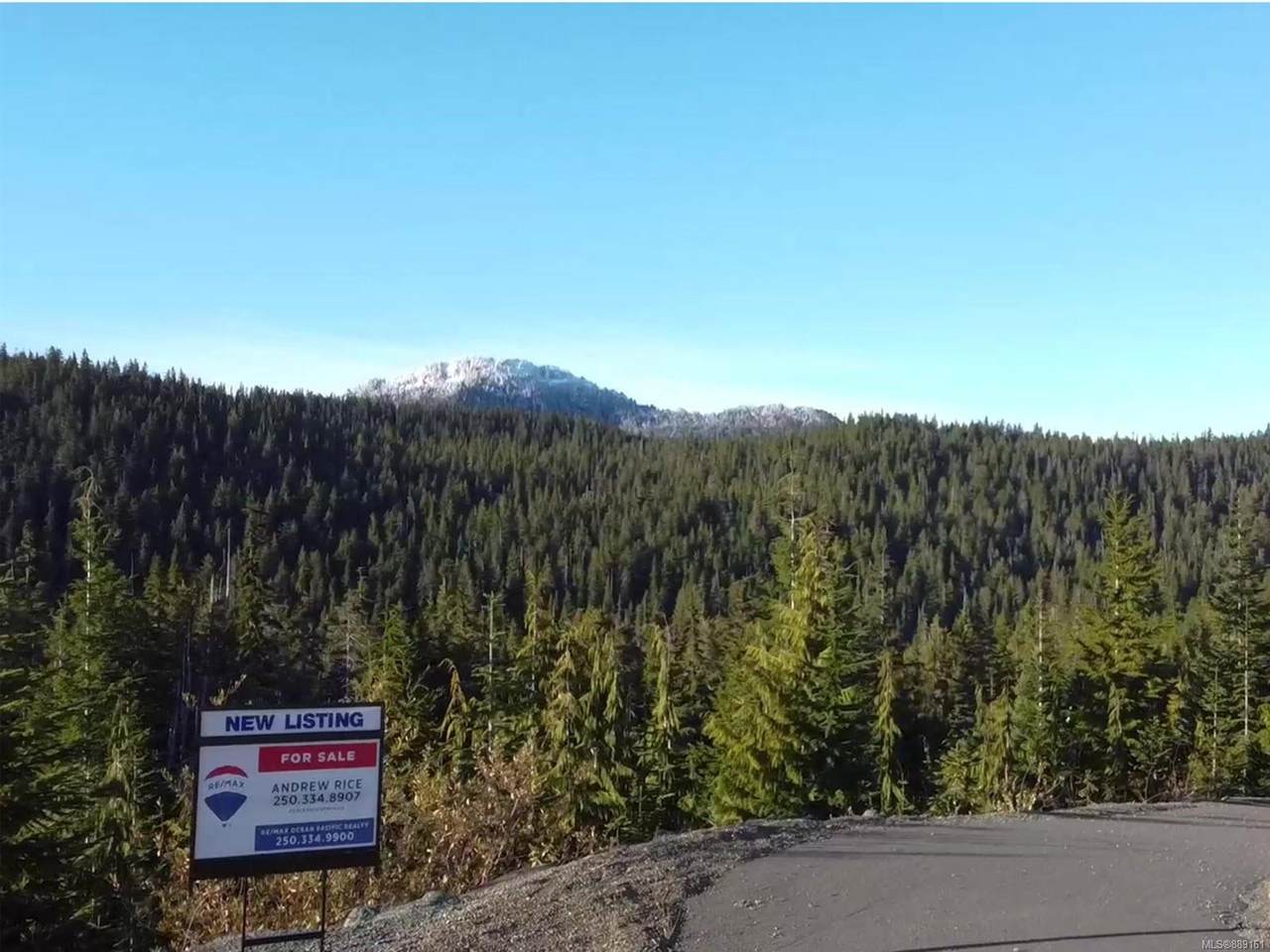 665 Arrowsmith Ridge - Photo 1