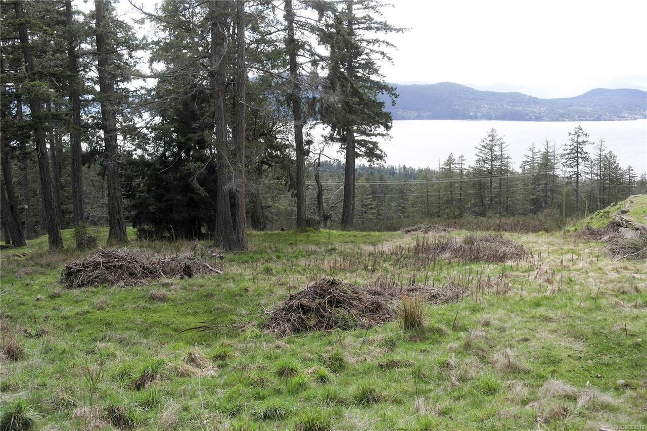 lot 13 Canvasback Pl - Photo 1