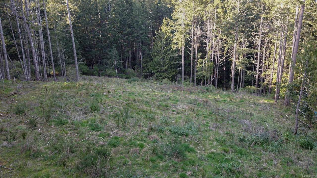 Lot 4 Frazier Rd - Photo 1