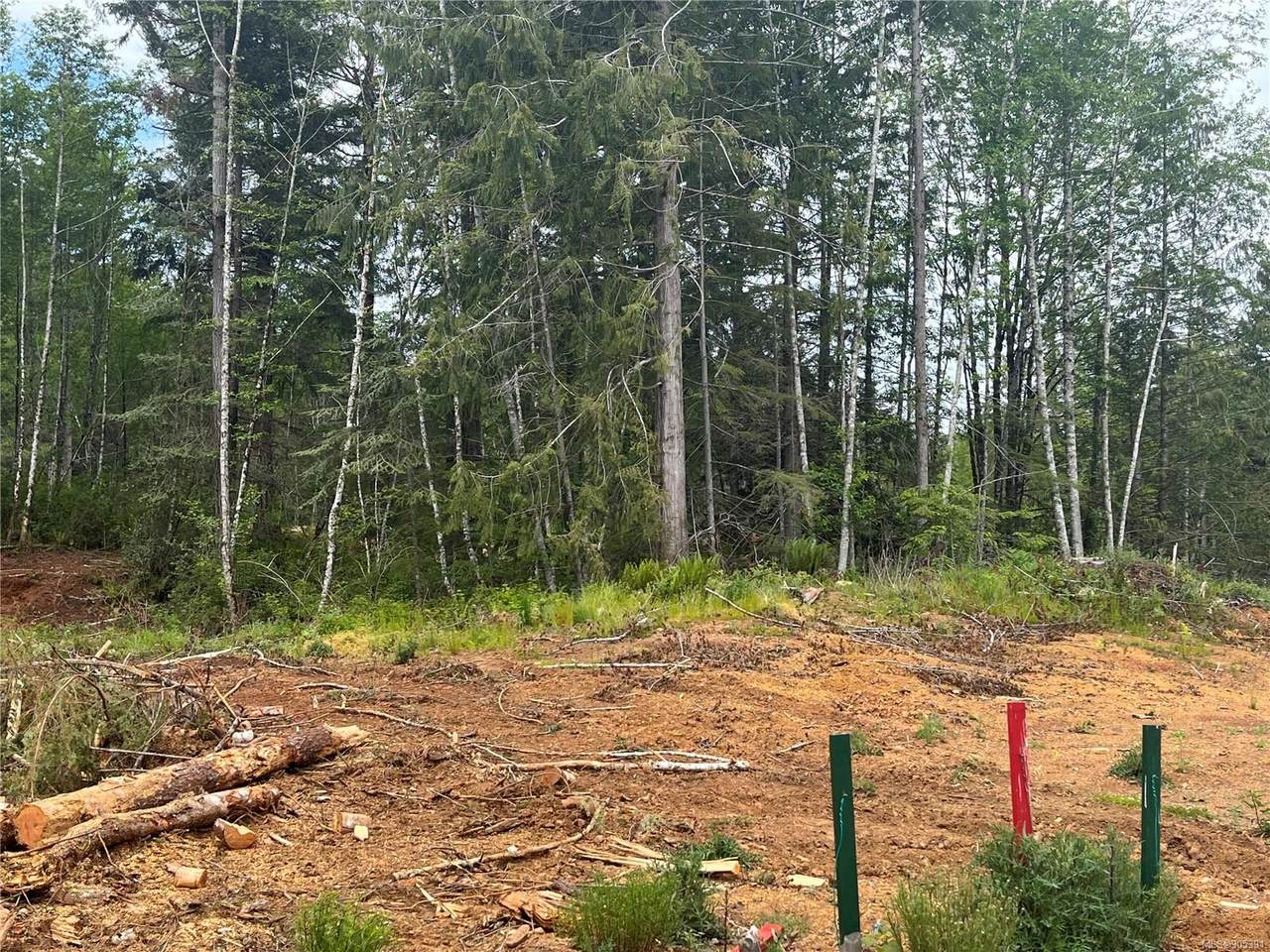 Lot 11 Ridgecrest Rd - Photo 1
