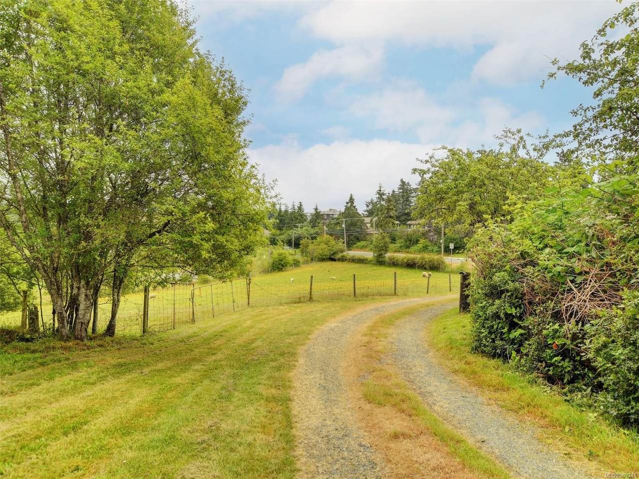 4512 Wilkinson Rd - Photo 1